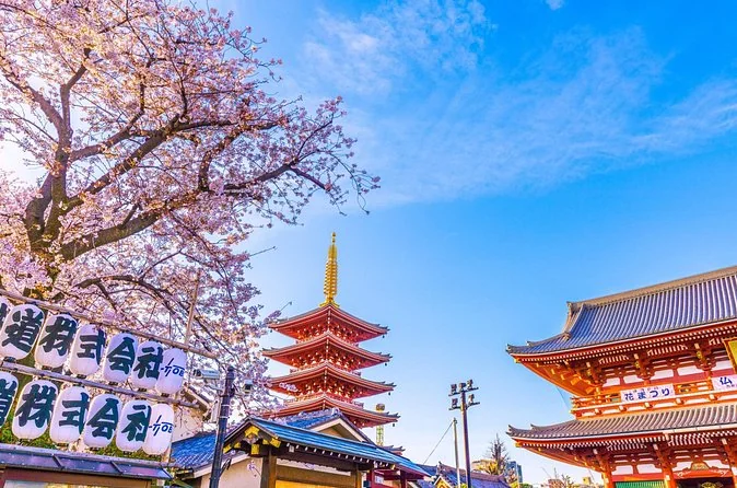 Asakusa & Senso-ji Walking Tour